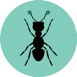 Ant AI