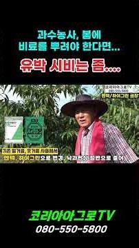 Fruit farming - Applying organic fertilizer in spring...