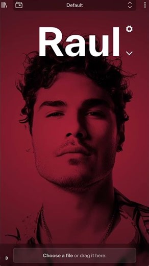 Meet Raul – Warm Baritone Voice in ReSing