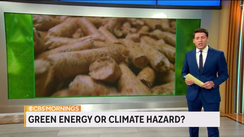 Wood pellets may not actually be green renewable energy source, critics say