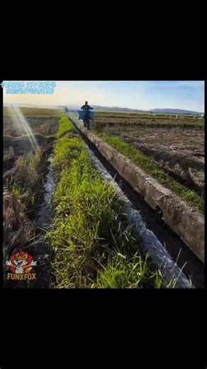 Try Not to Laugh"Challenge"