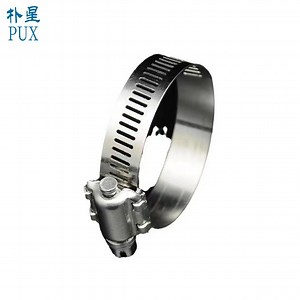 [Hot Item] Stainless Steel 200 Ss 300 Ss Custom Sizes Types American Hose Clamp Heavy Duty Hose Clamp