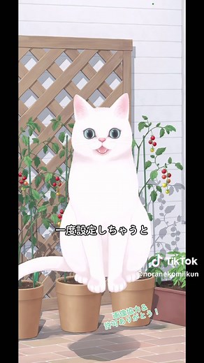 TikTok 小窓設定の便利機能活用法