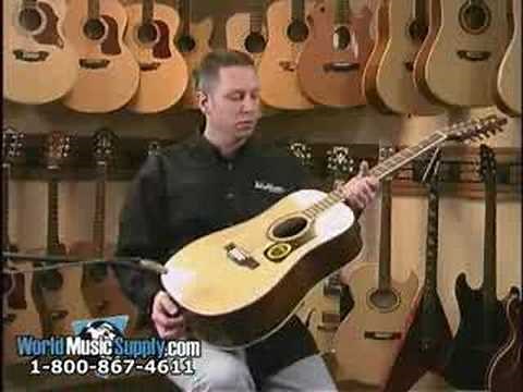 Washburn Acoustic 12-String Guitar D10S12 Demo