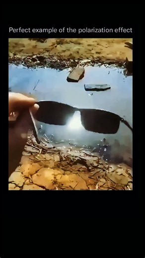 The Daily Spectrum on Instagram: "🕶️ The Science Behind Polarized Sunglasses — Why They Actually Work! Ever wondered why polarized sunglasses feel different from normal ones? It’s all about light polarization — sunlight vibrates in every direction 🌞 But when it bounces off water, roads, or glass… it becomes horizontally polarized — that’s the glare you see 👀 Polarized lenses have a vertical filter that blocks that glare instantly 🚫 Result? Sharper vision, richer colors, and zero eye strain e