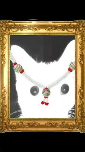 when you switch light mode in midnight. #shortsfeed #coding #codinglife #darkmode