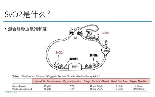混合静脉血氧饱和度(SVO2)监测(国外)