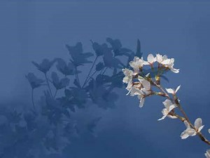 恋の嵐（竹内まりや）