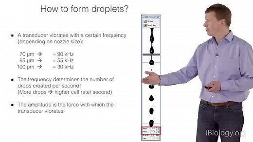FACS - Fluorescence Activated Cell Sorting • iBiology