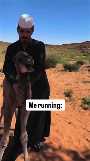 Running meme part 68