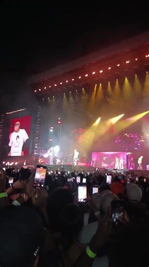 Chris Brown Concert in Johannesburg - December 15, 2024