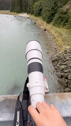 353K views · 3.9K reactions | The spot vs the shot   Canon R5 Canon EF 600mm F4 III @canonusa #bear #brownbear #alaska #wildlifephotography #wildlife #bbcearth #earth #bears #canonusa #teamcanon #canonexploreroflight #wildlifeofinstagram #bears #alaskaonly | Mark Bouldoukian Photography | Facebook