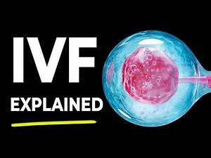 In Vitro Fertilization (IVF): How It Works Step by Step | 3D Animation