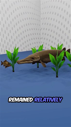 Alligator Gar Facts | The Ancient Giant Fish with Razor-Sharp Teeth
