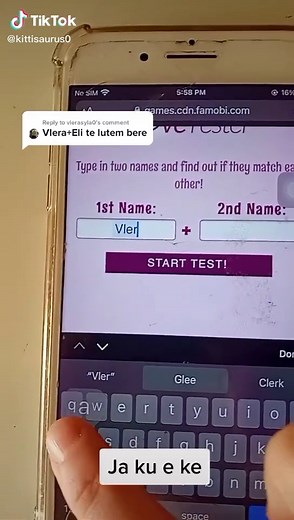 Cats are the best on TikTok