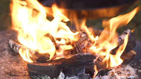 THAT is a brilliant CUT! Teres Major aka. Metzger's favorite🔥🔥🔥