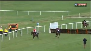 29K views · 384 reactions | Two smart prospects and potentially a very decent winner - the well-backed Real Steel makes a big impression on Irish debut for jockey Paul Townend for trainer Willie Mullins... | At The Races | Facebook