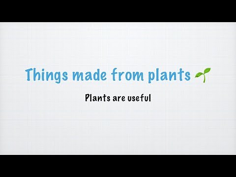 Things made from plants 🌱