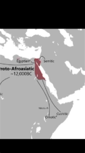 Are Arabs Really Only J1? Discover Ancient Natufian Secrets