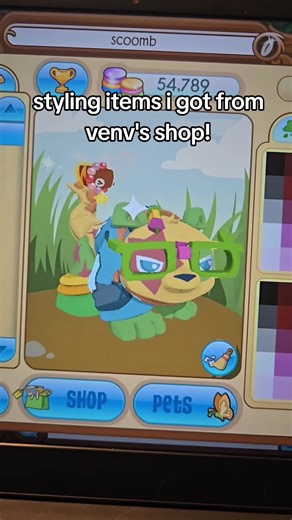 Stylish Items from Venv's Shop for Animal Jam