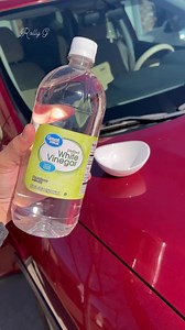 37 reactions · 14 shares |  How to get rid of funky smell in your car #cars #cartips #drivingtips #carcleaning | Rolly Garcia | Facebook