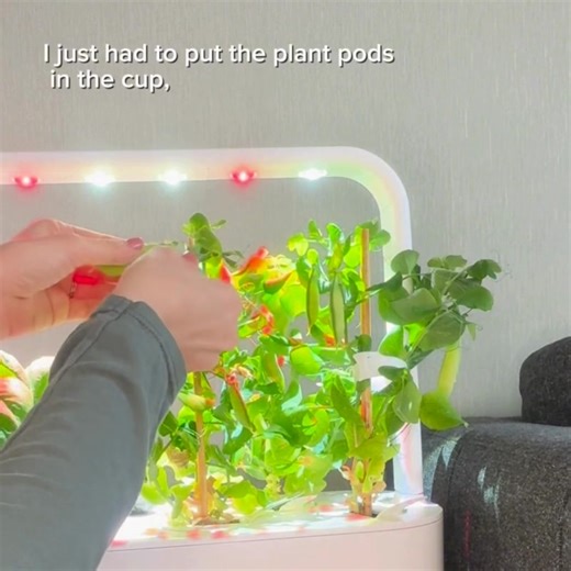 No mess, no stress—just fresh homegrown food in weeks!  Click & Grow is the easiest way to grow 65+ plant varieties indoors. Just plug in, add water, and let the smart garden do the rest!  | Click & Grow | Facebook