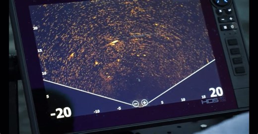 Social Fishing on Reels