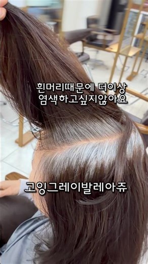 흰머리염색 그만하고싶을때! 새치염색 탈출! #고잉그레이발레아쥬 #고잉그레이 #발레아쥬 #흰머리커버발레아쥬 #숨은고수케이쌤 #궁서채 #궁서채안양점