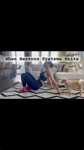 How bodies can regulate each other #emotional #love #animals #nervoussystemregulation