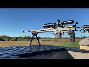 Savage Elite Precision .308 @ 705 yards