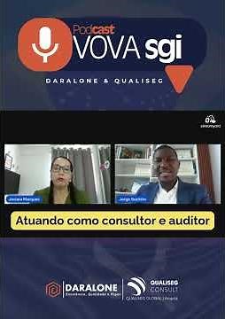 What is the role of a consultant and auditor in Integrated Management Systems (IMS) in practice?