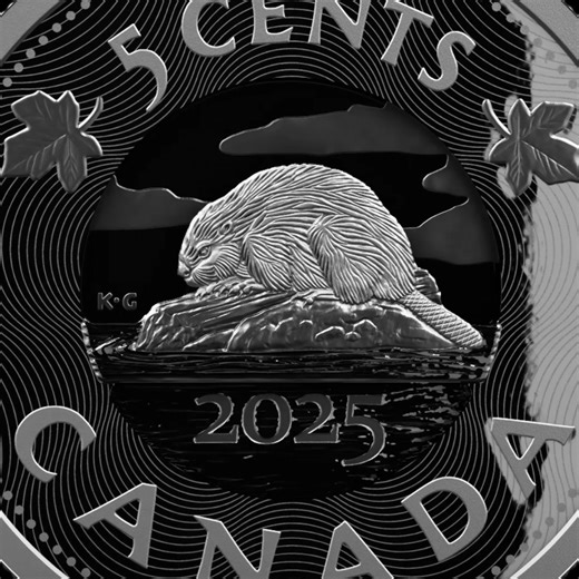 Canada’s iconic beaver, now in a 3D space. On the 50ᵗʰ anniversary of Castor canadensis becoming an official symbol of Canada, the iconic beaver from G. E. Kruger Gray’s five-cent coin design has been given its own space to shine on this 99.99% pure silver coin, which features layers of engraving—not just on the coin’s surface, but on its interior, too. This is made possible by Multilayered Engraving, an innovative minting technique pioneered by our engineers. Using special dies, we’re able to e