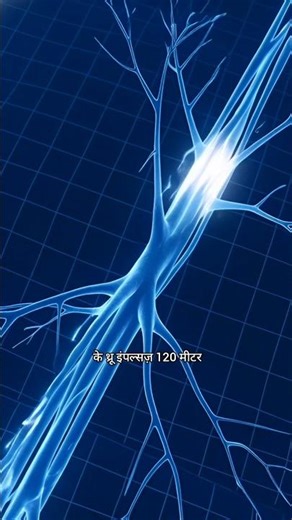 Your Body Is a Living Electric Power Station ⚡😲