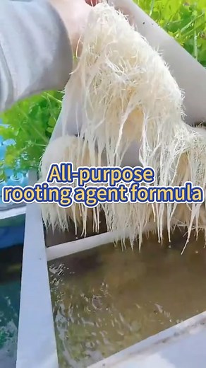 23K views · 659 reactions | All purpose rooting agent formula #gardening #garden #planting #farming #plants #gardeningtips #roots #fertilizer | Agriculture 2.1 | Facebook