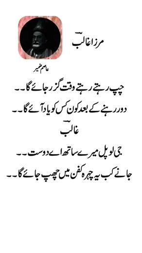چپ چپ رہتے رہتے وقت گزر جاۓ گا۔۔۔۔۔۔۔۔۔۔۔۔۔۔ #viral #poetry