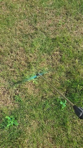 How to kill Canada thistle. Game On herbicide 1.3 ounces per gallon. #noxiousweedsillinois