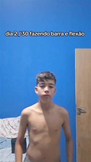 Treino de força: barra e flexão no dia 2