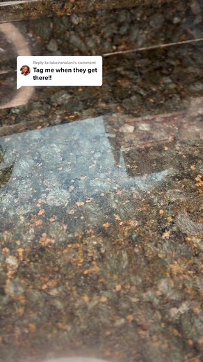 Tips for Shipping Cupcakes | Packing Orders Guide