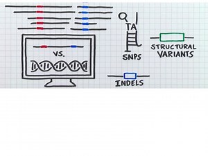 NGS Bioinformatics Doesn’t Have To Be Scary – Seq It Out #4