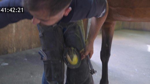 🔥 The Fastest Forge 🔥 Our Mustad clinicians go head-to-head in a series of videos to forge and fit a 3/4 fullered horseshoe in the fastest time possible 🏇⚒️ Speed, skill, and precision — all in one challenge. But don’t be mistaken — speed never compromises quality. Every shoe is built and fitted with the horse’s comfort, performance, and hoof health at the forefront. First up is David Ibanez. Who would you like to see next? Comment below. Who will take the title? 👀 | Mustad Hoofcare