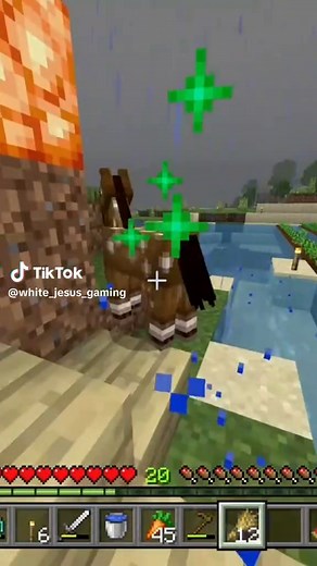 Steezy Jeezy on TikTok