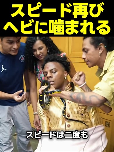 スピード、再びヘビに噛まれる！？