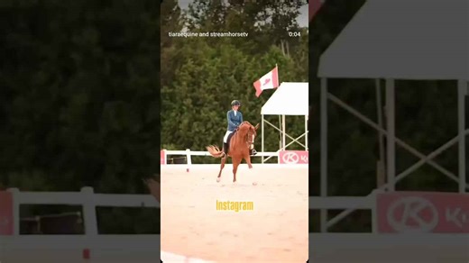 Epic Horseback Riding Fail & Win Compilation