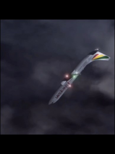 Ethiopian Airlines Flight 409 Crash Investigation