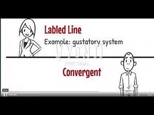 Labeled line concept