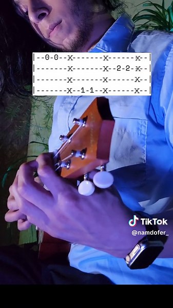 Namdofer | Ukelele on TikTok