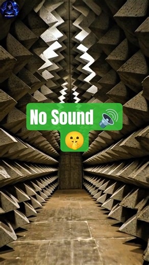 The Quietest Room on Earth 🔇
