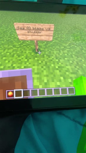 day 48 of making mobs fight in minecrat #minecraft