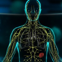 Bio Inc. Redemption : jouez au médecin ou à l'ange de la mort