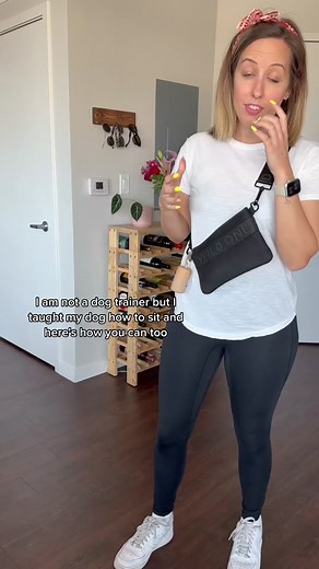 Dog Training: “Sit”